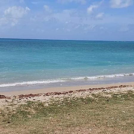 Ohana Guest House Port Mathurin Dış mekan fotoğraf