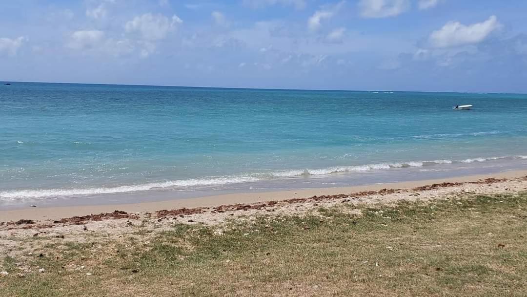 Ohana Guest House Port Mathurin Dış mekan fotoğraf